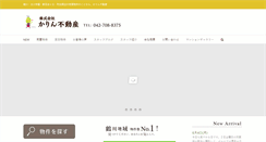 Desktop Screenshot of e-karin.com
